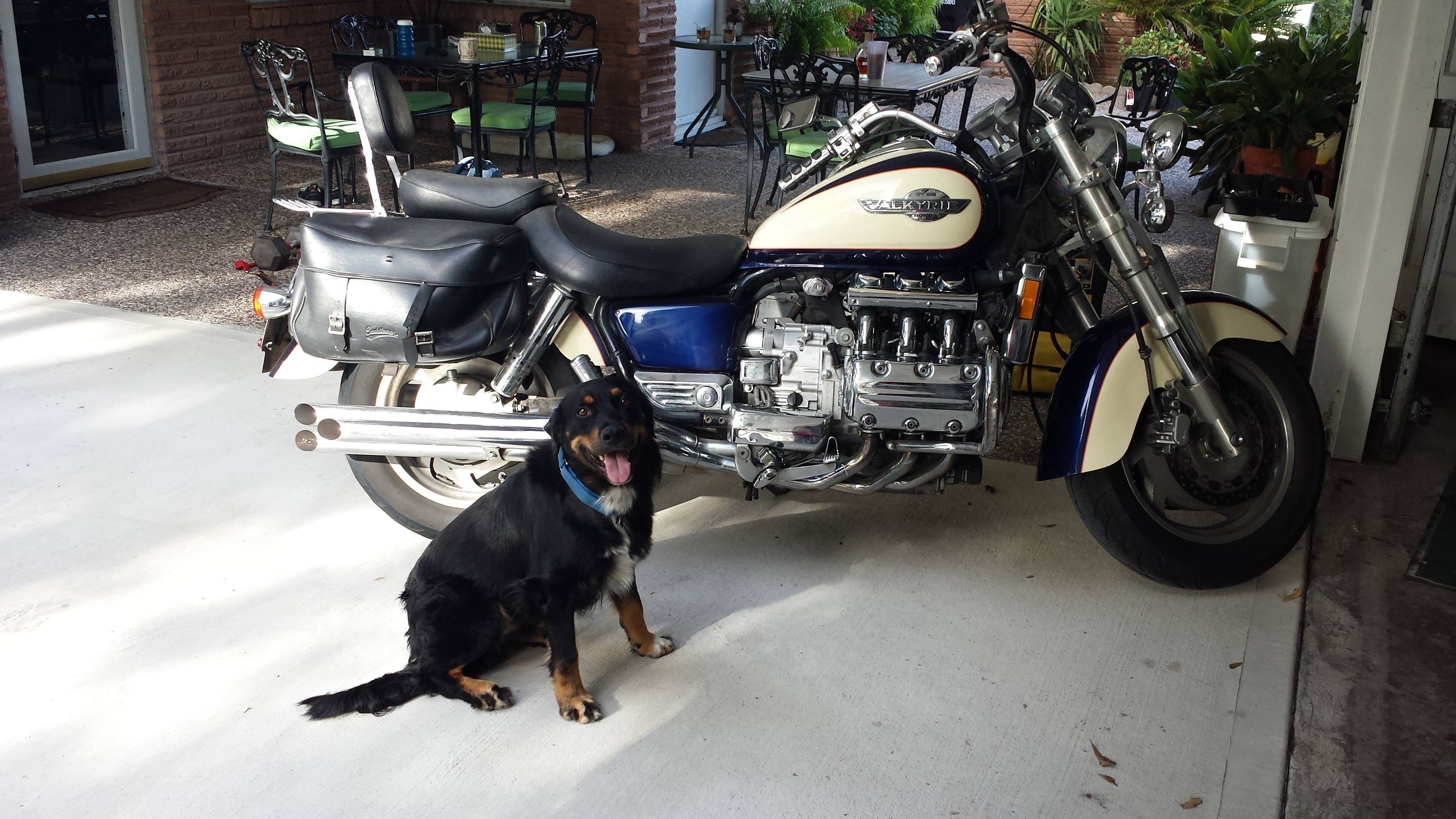 The Valkyrie Reginleif